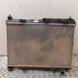 RADIADOR AGUA 129703