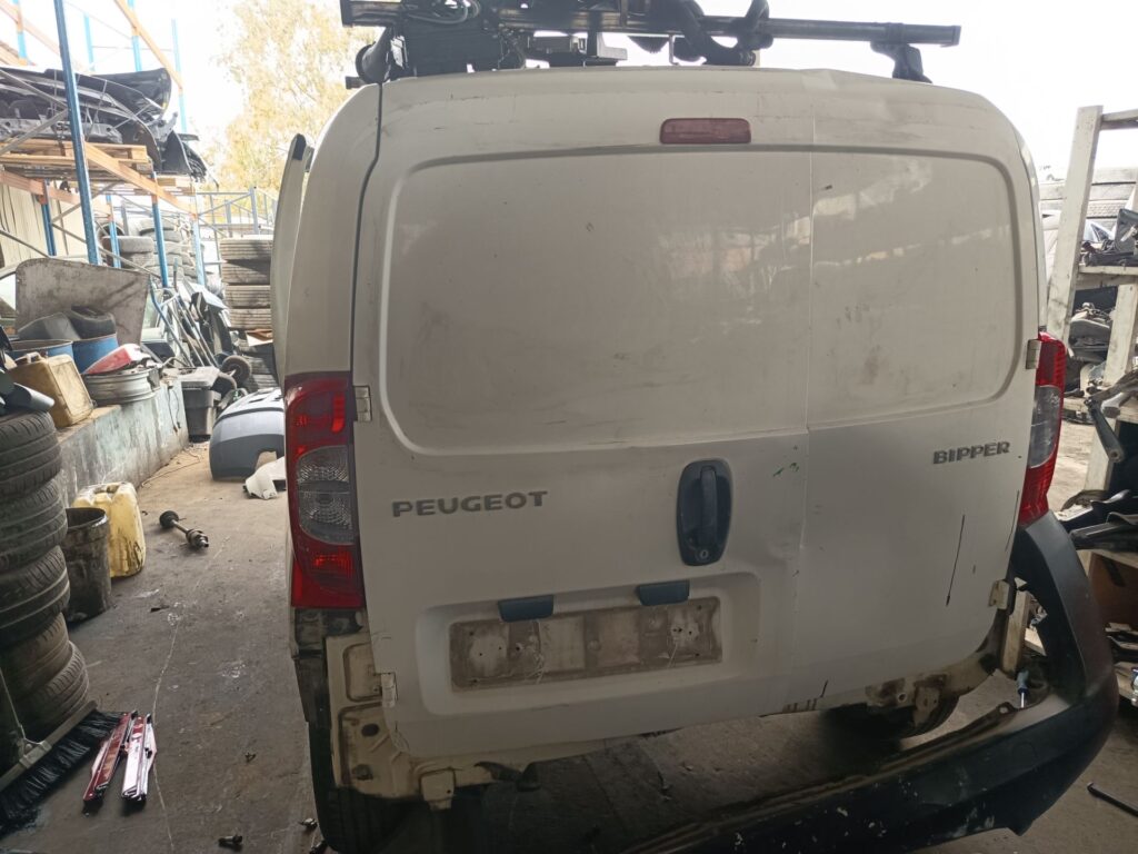 PORTON TRASERO IZQUIERDO 129932
