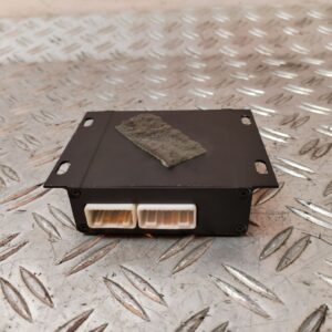 MODULO ELECTRONICO 129754