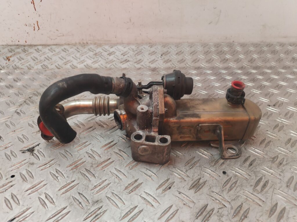 VALVULA EGR 124905