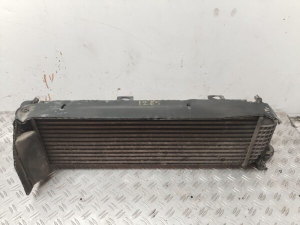 INTERCOOLER 131076
