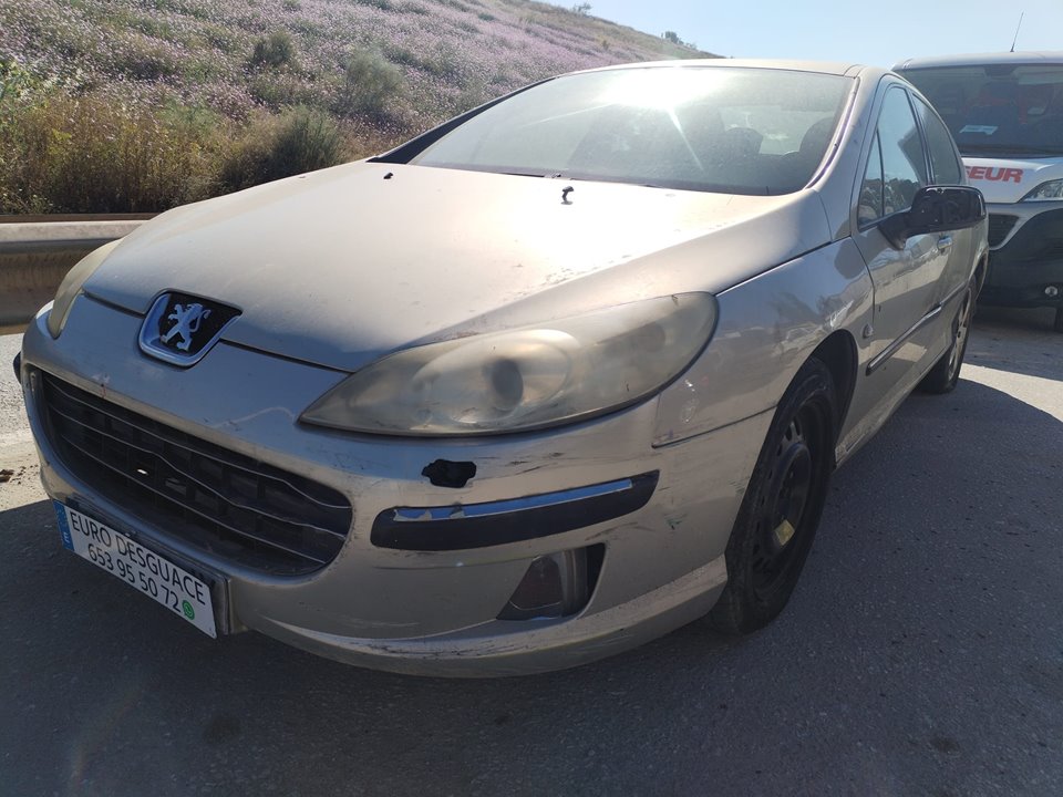 PEUGEOT 407 del 2005