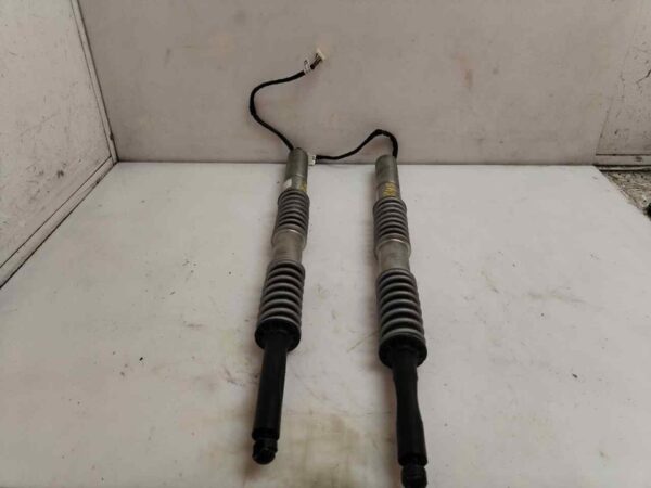 AMORTIGUADORES MALETERO / PORTON 121835