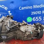 CAJA CAMBIOS 131023