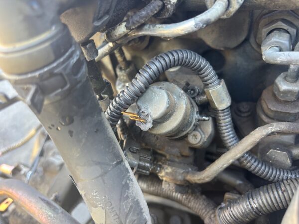 MOTOR COMPLETO 132196