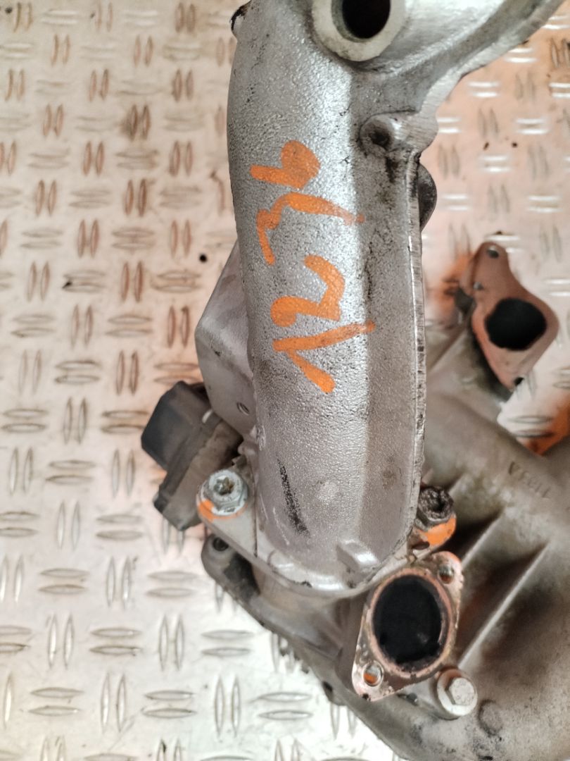 COLECTOR ADMISION 132440