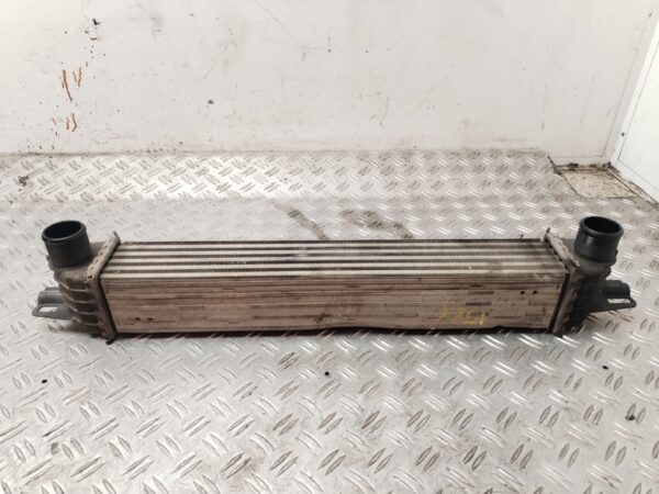 INTERCOOLER 131293