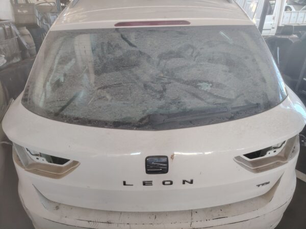 PORTON TRASERO 132467