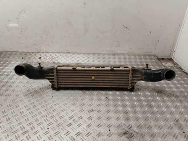 INTERCOOLER 131981