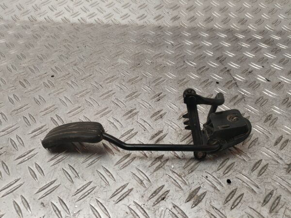 PEDAL ACELERADOR 131784