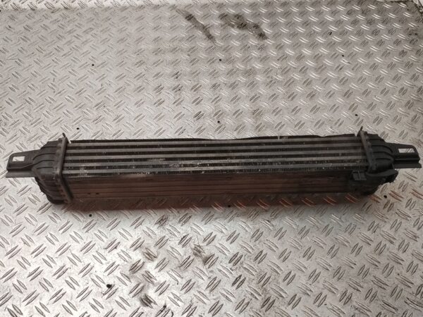 INTERCOOLER 131293
