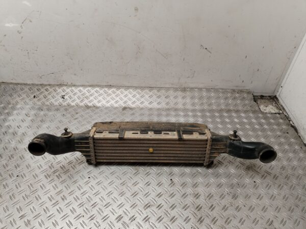 INTERCOOLER 131981