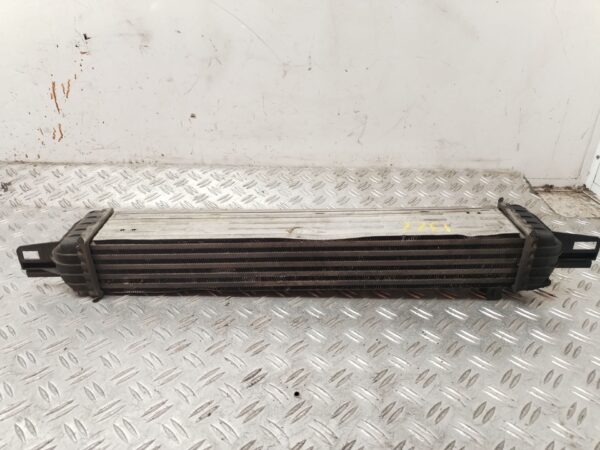 INTERCOOLER 131293