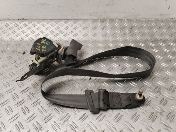 CINTURON SEGURIDAD TRASERO DERECHO 132129