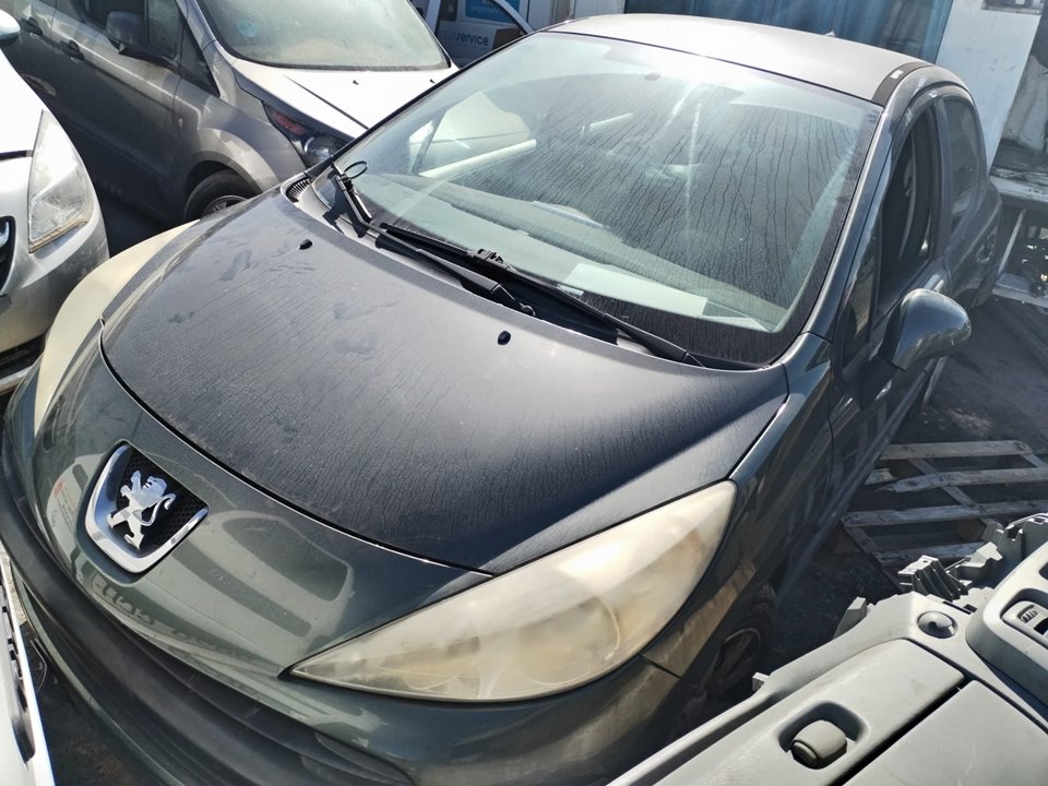 PEUGEOT 207 SW del 2007