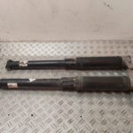 JUEGO AMORTIGUADORES TRASERO 131818