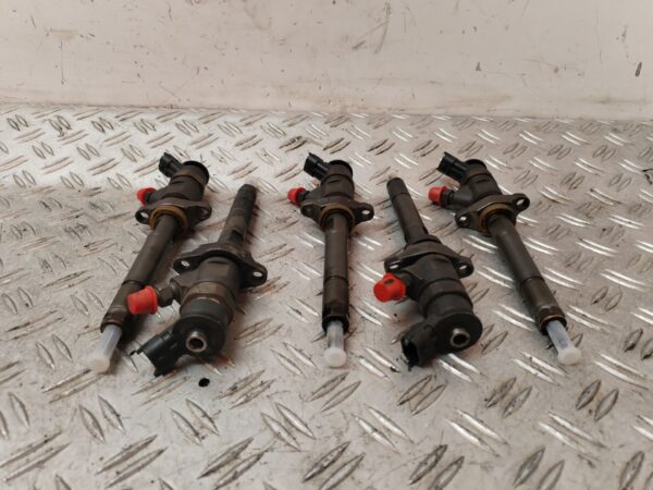 INYECTOR 132494