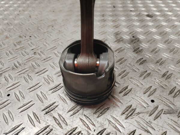 PISTON 131190