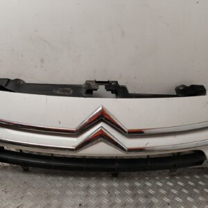 REJILLA DELANTERA 132571