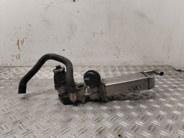 VALVULA EGR 131233