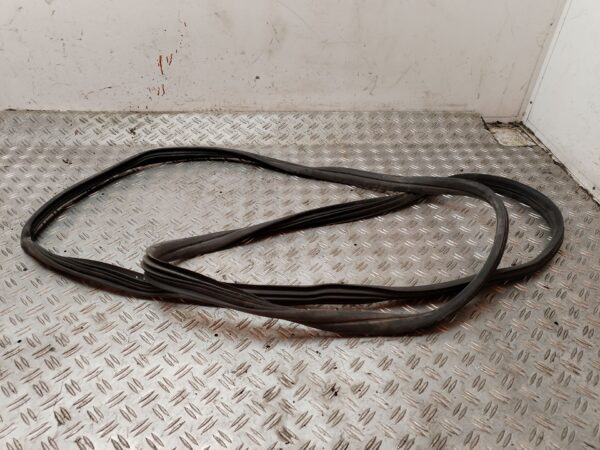 GOMAS CONTORNO PUERTA 130913