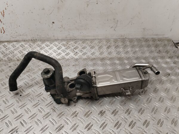 VALVULA EGR 131233