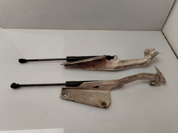 BISAGRA CAPO DERECHA 134020