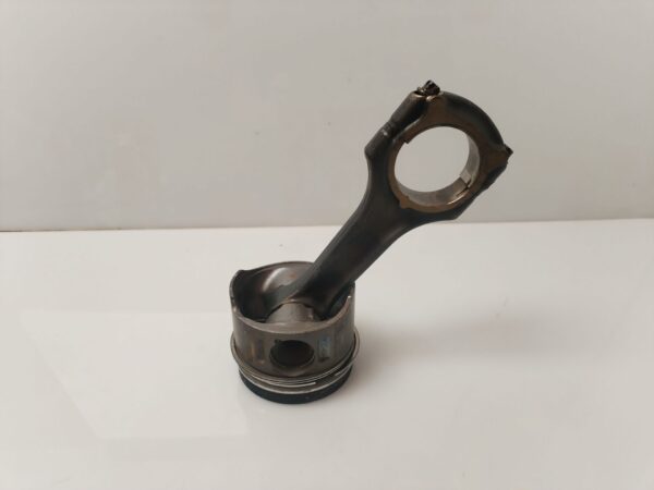 PISTON 134047