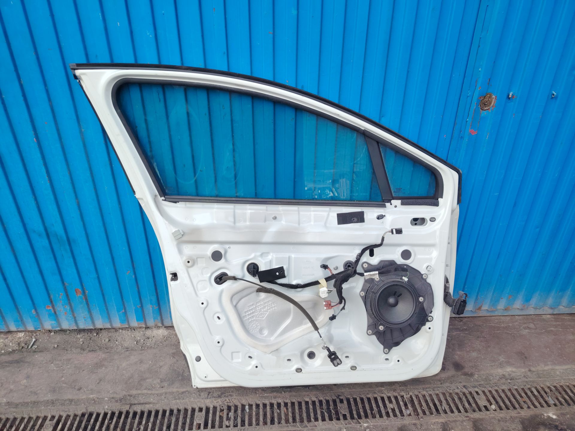 PUERTA DELANTERA IZQUIERDA 134373