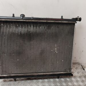 RADIADOR AGUA 132732