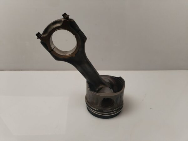 PISTON 134033