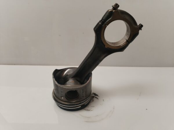PISTON 134033