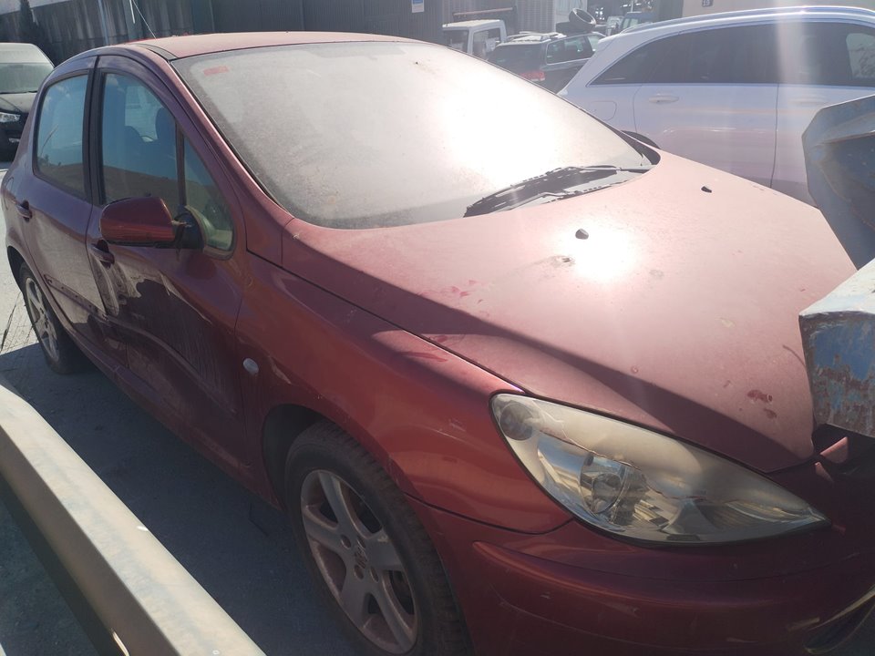 PEUGEOT 307 BREAK / SW (S1)(04.2002) del 2002