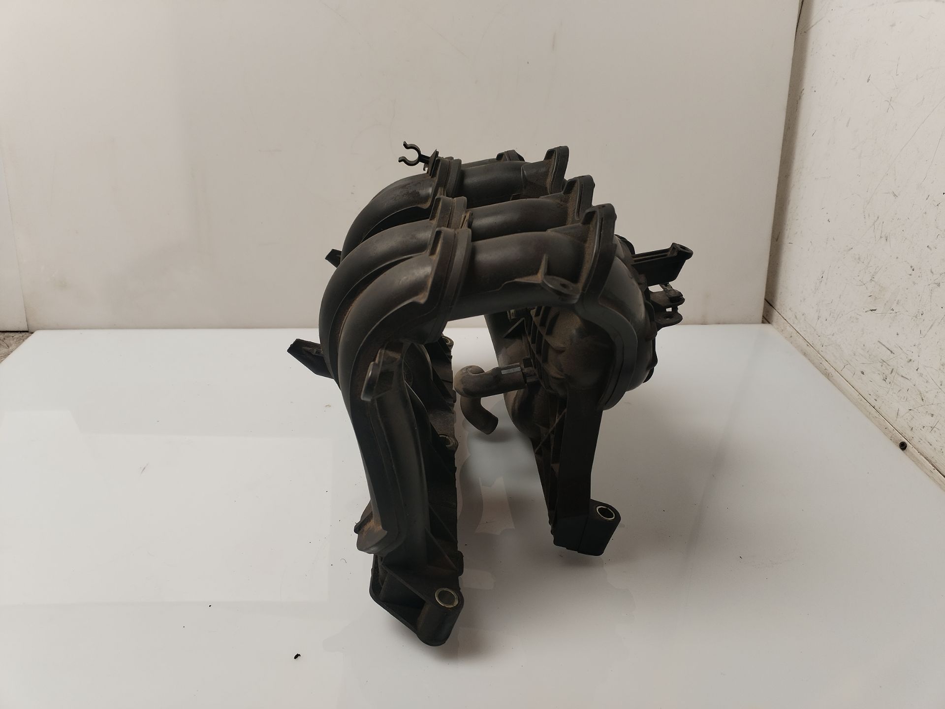 COLECTOR ADMISION 135435