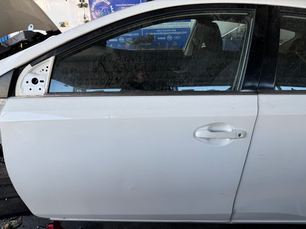 PUERTA DELANTERA IZQUIERDA 134983