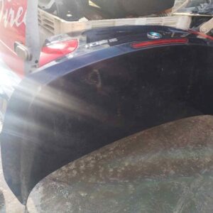 PORTON TRASERO 121737