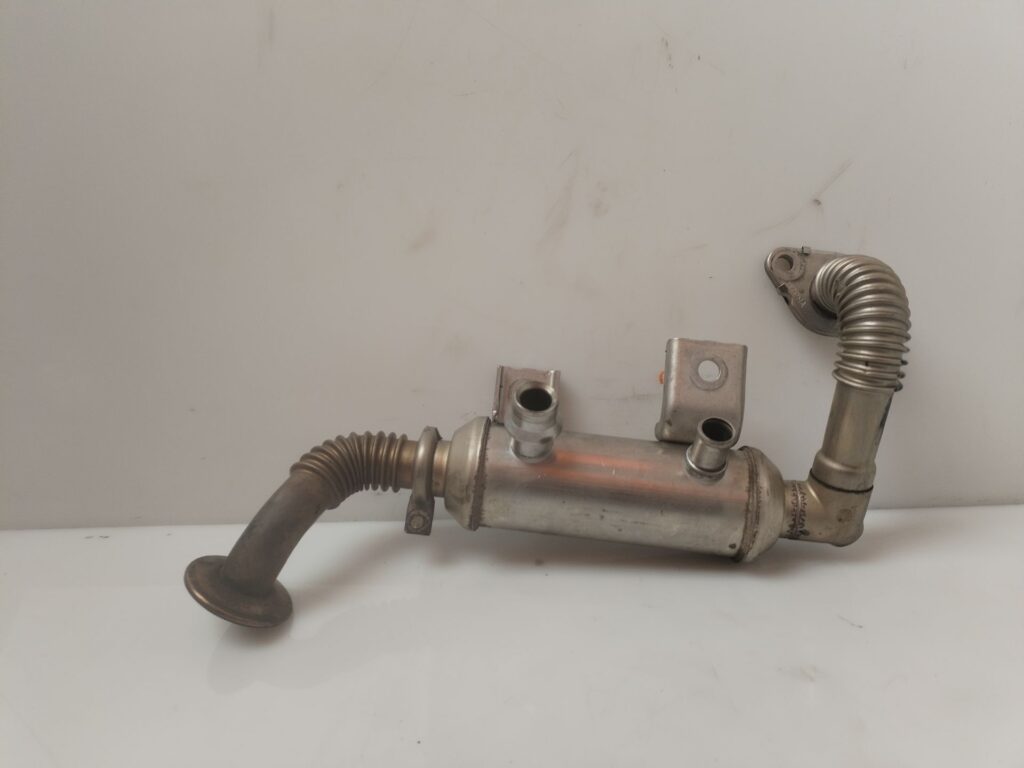 COLECTOR ADMISION 137319