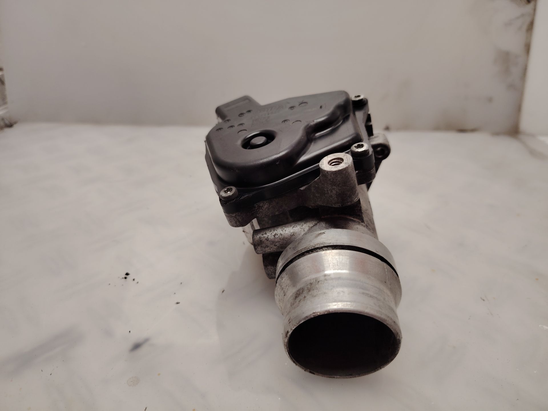 CAJA MARIPOSA 137342