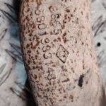 COLECTOR ESCAPE 139151