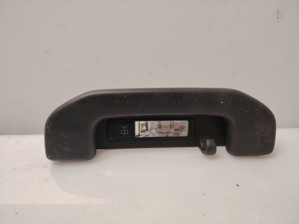 ASIDERO TECHO TRASERO IZQUIERDO 138785