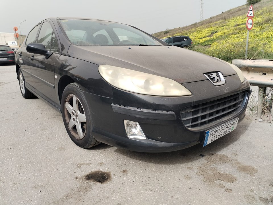 PEUGEOT 407 del 2004