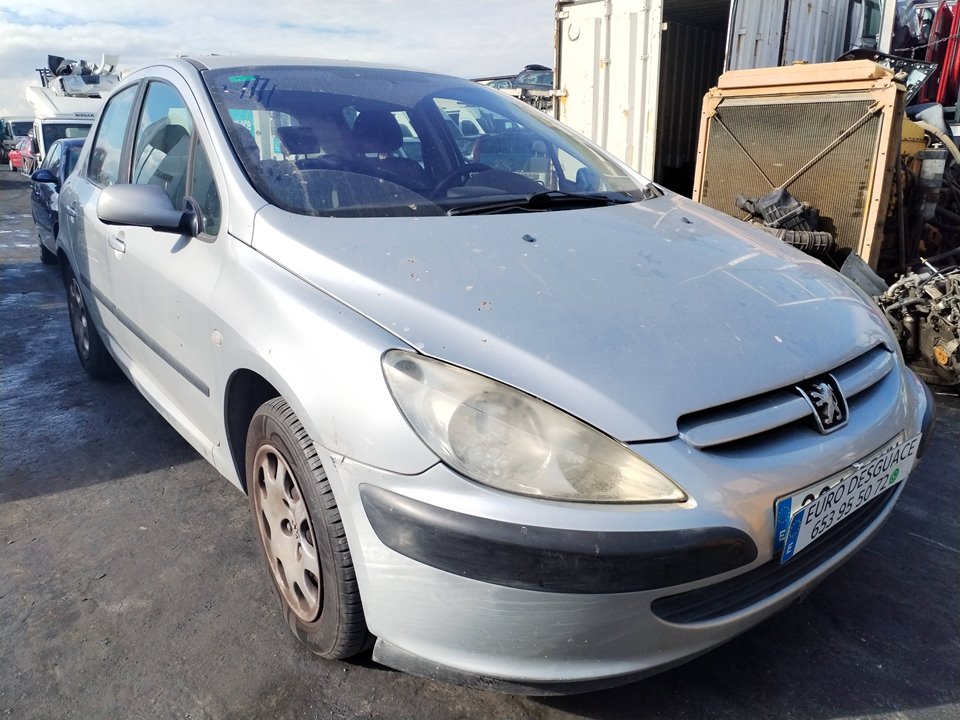 PEUGEOT 307 (S1)(04.2001) del 2002
