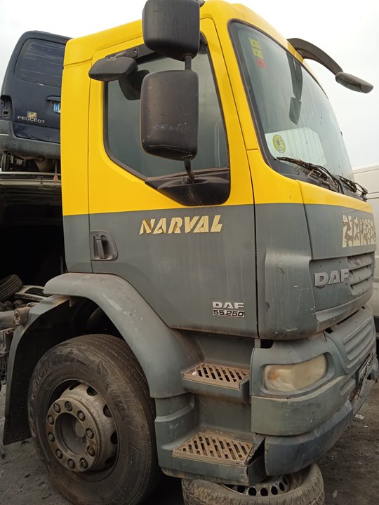DAF LF55 (2006) del 2007