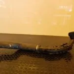 TUBO 104513
