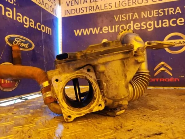 VALVULA EGR 100119