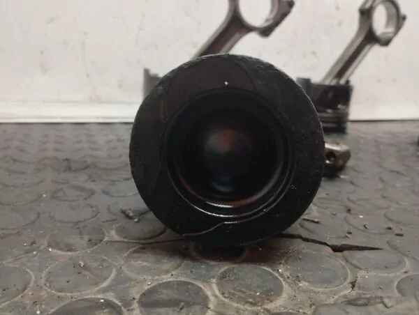 PISTON 109881