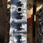 CULATA 99501