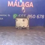 CENTRALITA AIRBAG 91675