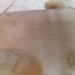 DEPOSITO LIMPIA 113996
