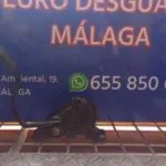 POTENCIOMETRO PEDAL 92228